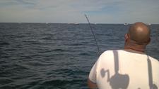 Click to view album: Fishing Off Monomoy, Chatham & Orleans